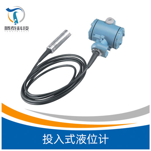<b>投入式液位計(jì)</b> <b>投入式液位計(jì)</b>