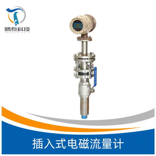 <b>插入式電磁流量計</b> <b>插入式電磁流量計</b>