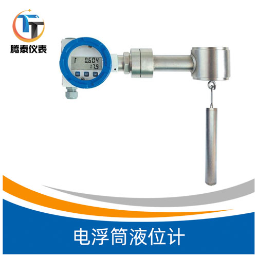 電浮筒液位計(jì) 電浮筒液位計(jì)